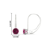 1 Carat Round Diamond Lever Back Earrings