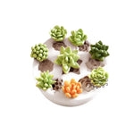 Flower Silicone Cake Mold Fondant Molds Cake Decorating Tools Chocolate Gumpaste Mold Fondant Tools Soap Mold
