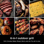 Woodfire Outdoor Grill Smoker 6 In 1 Electric Appliance