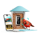 Birdfy Feeder - AI-Powered Smart Bird Feeder with Camera