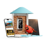 Birdfy Feeder - AI-Powered Smart Bird Feeder with Camera