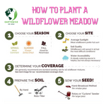Northeast Native & Naturalized Wildflower Mix