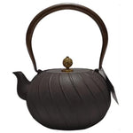Daiji Unglazed Cast Iron Teapot