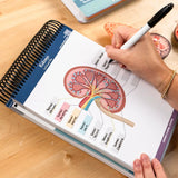 1Pcs Human Body Structure, Intelligent Organ Assembly, Skeleton Construction, Anatomical Coils, This Label Workbook